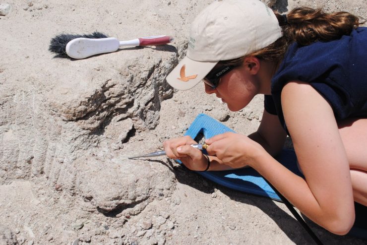 An ӰƬ student working on an archeological dig.