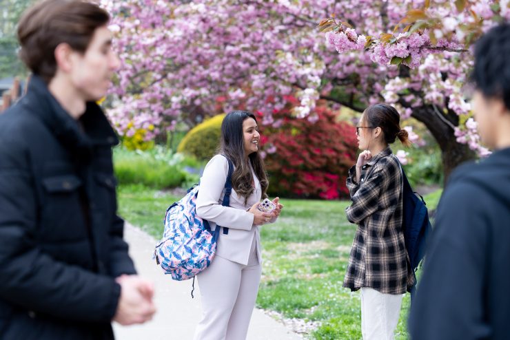 International students walking at ӰƬ in the cherry blossoms