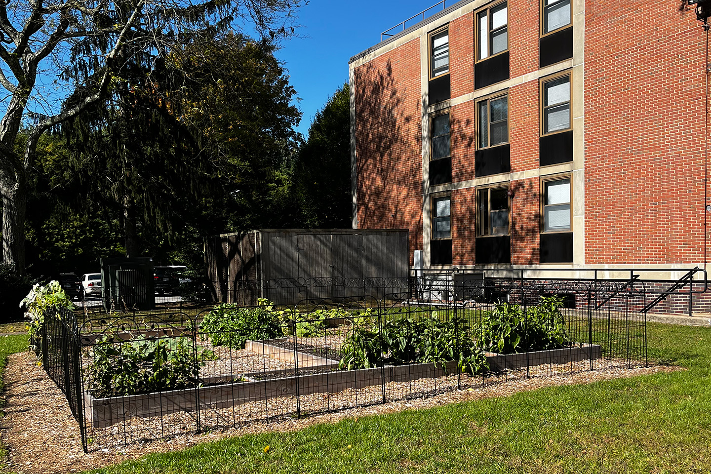External view of the ӰƬ University Community Garden behind the Linen Hall residence hall.
