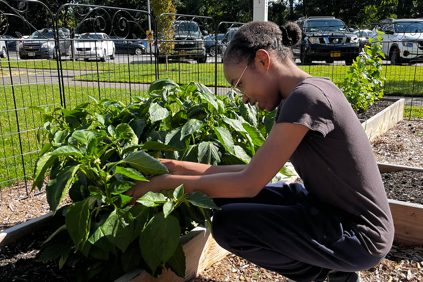Student garden volunteer tending to the plants in the ӰƬ University Community Garden.