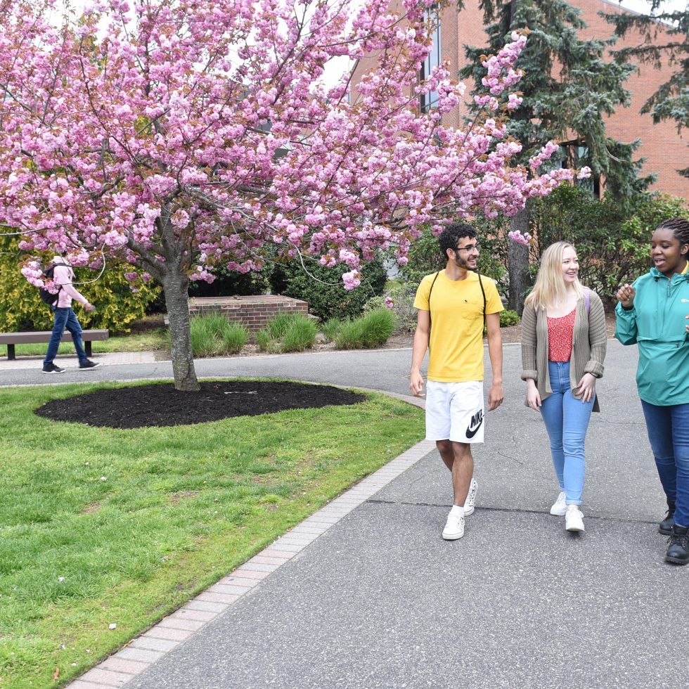 ӰƬ students walking together on campus in front of the University Center